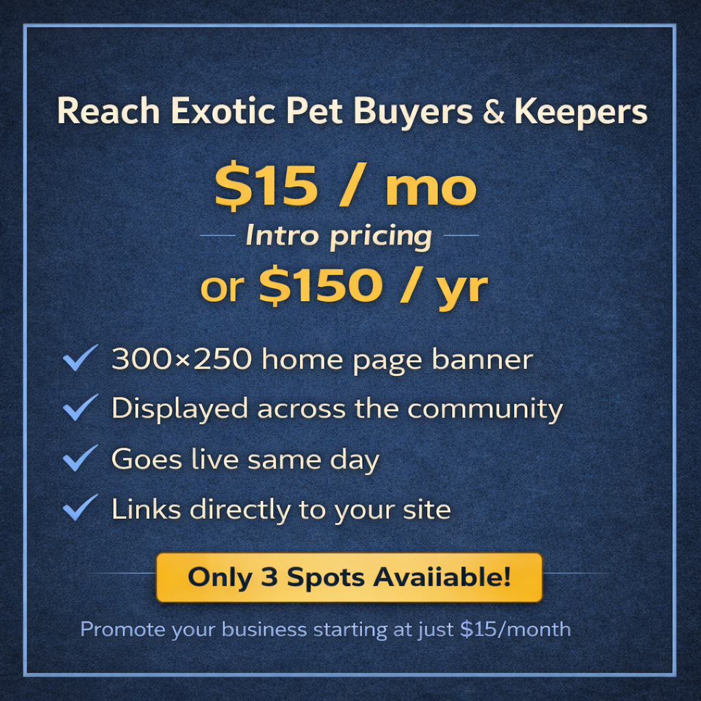 ? Featured Sponsors