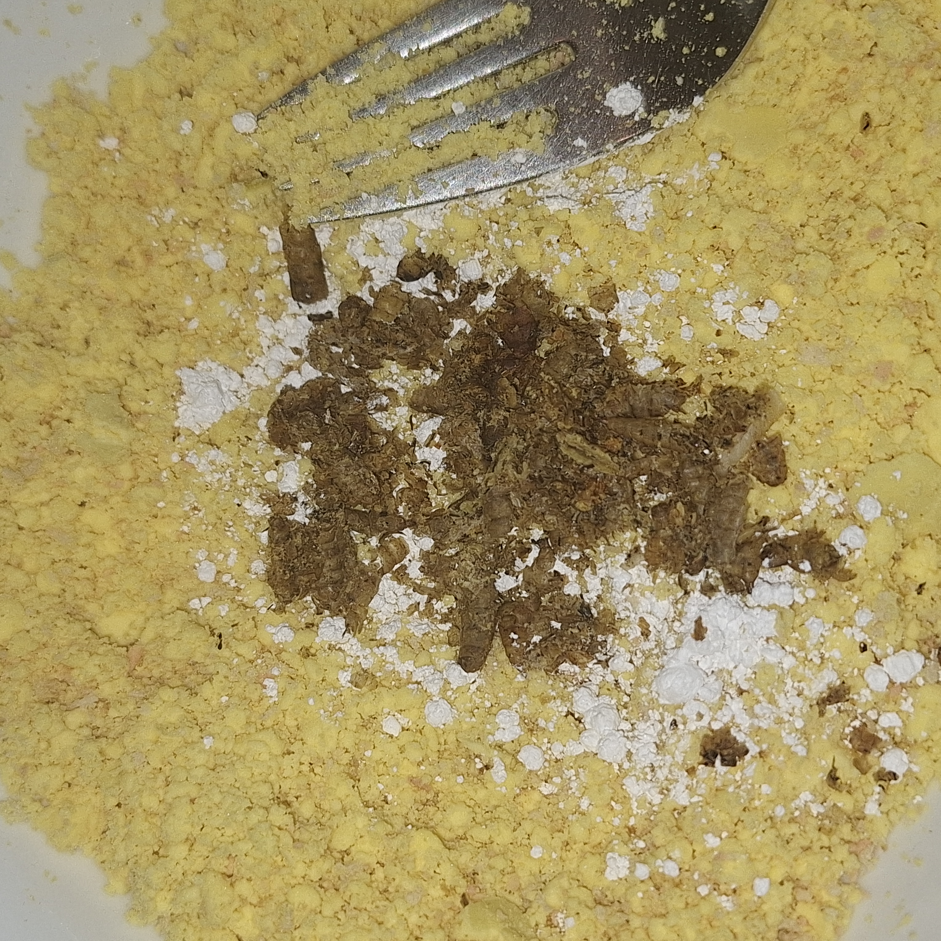 Adding calcium and larvae